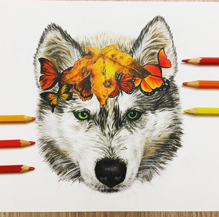 12 surreal color pencil drawing by leona chui