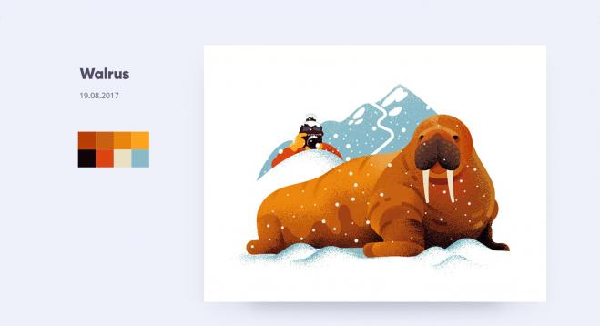 walrus illustration