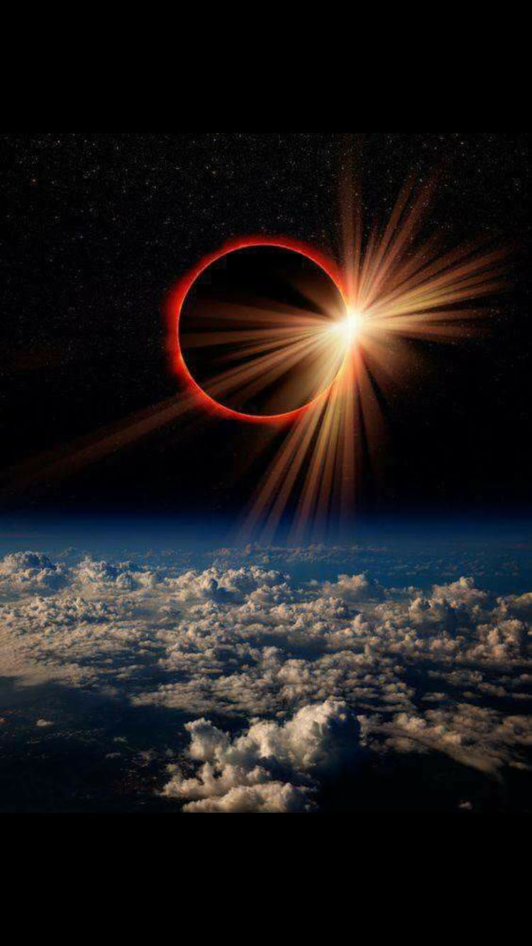 17 solar eclipse diamond ring by tim baskin