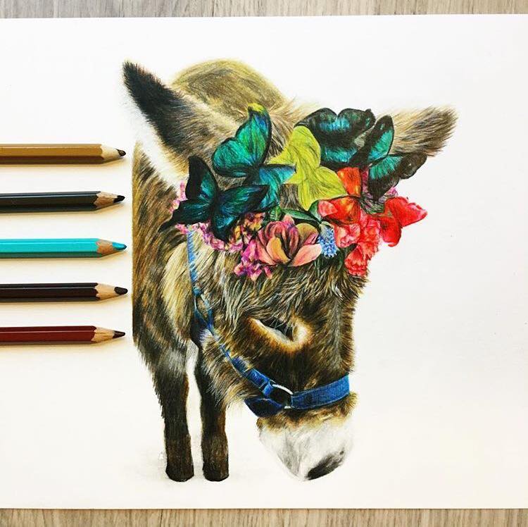 6 donkey color pencil drawing by leona chui