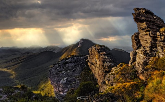 mt magog nature photography