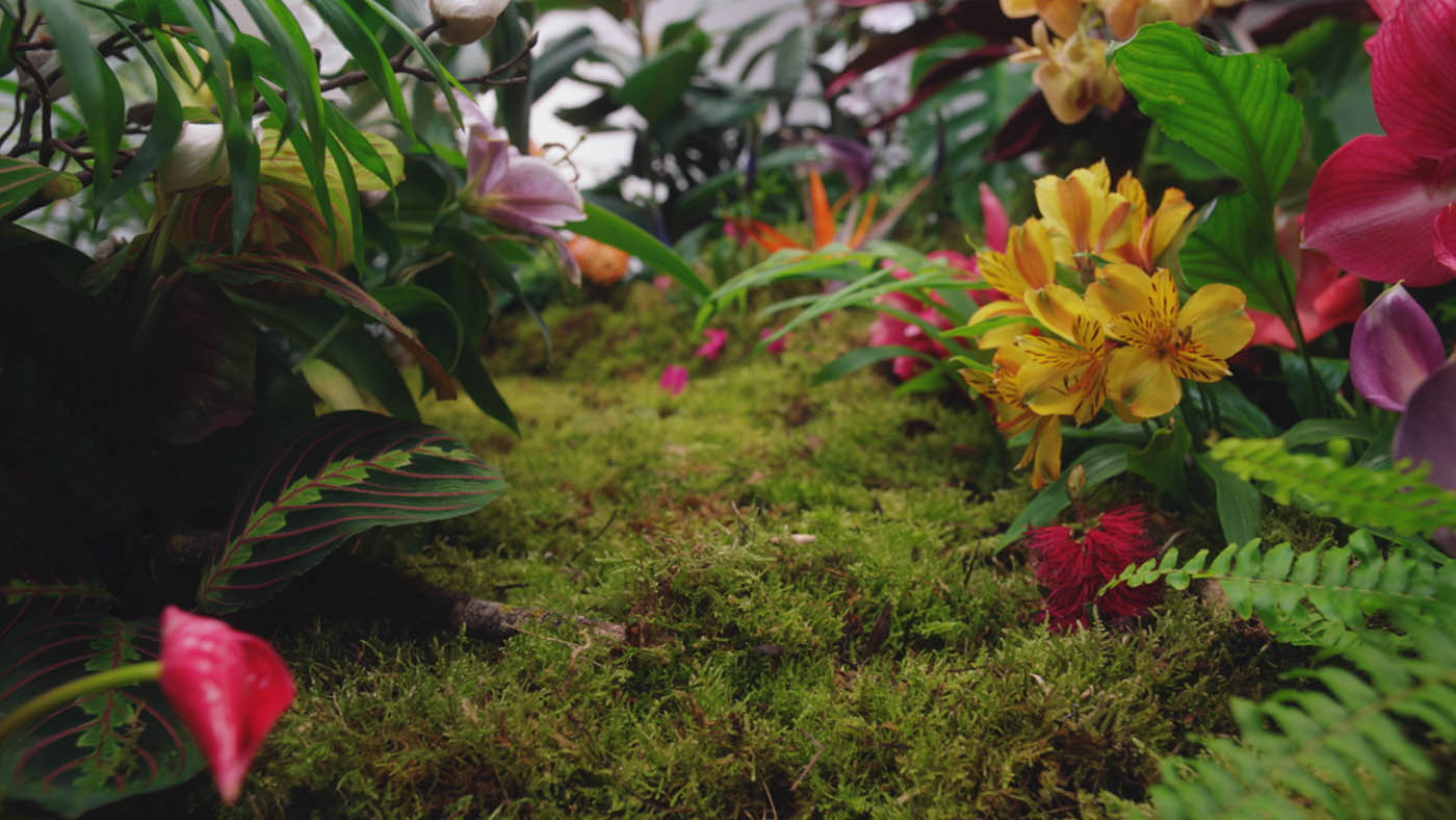 8 garden sculpture by dvein