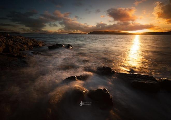 gull rock beach nature photography