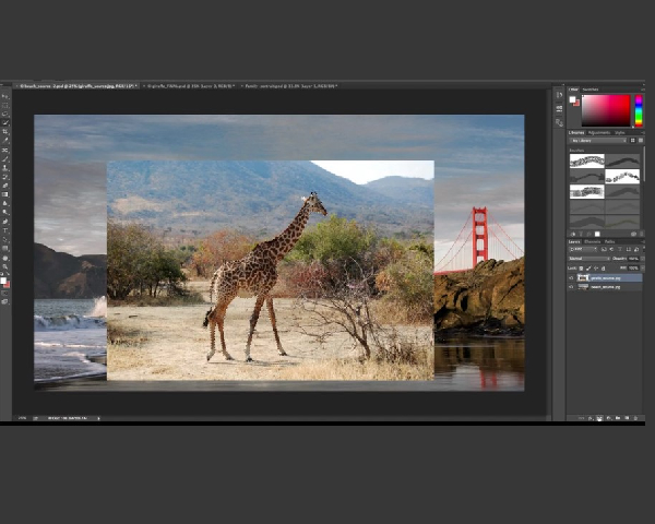 adobe photo editor