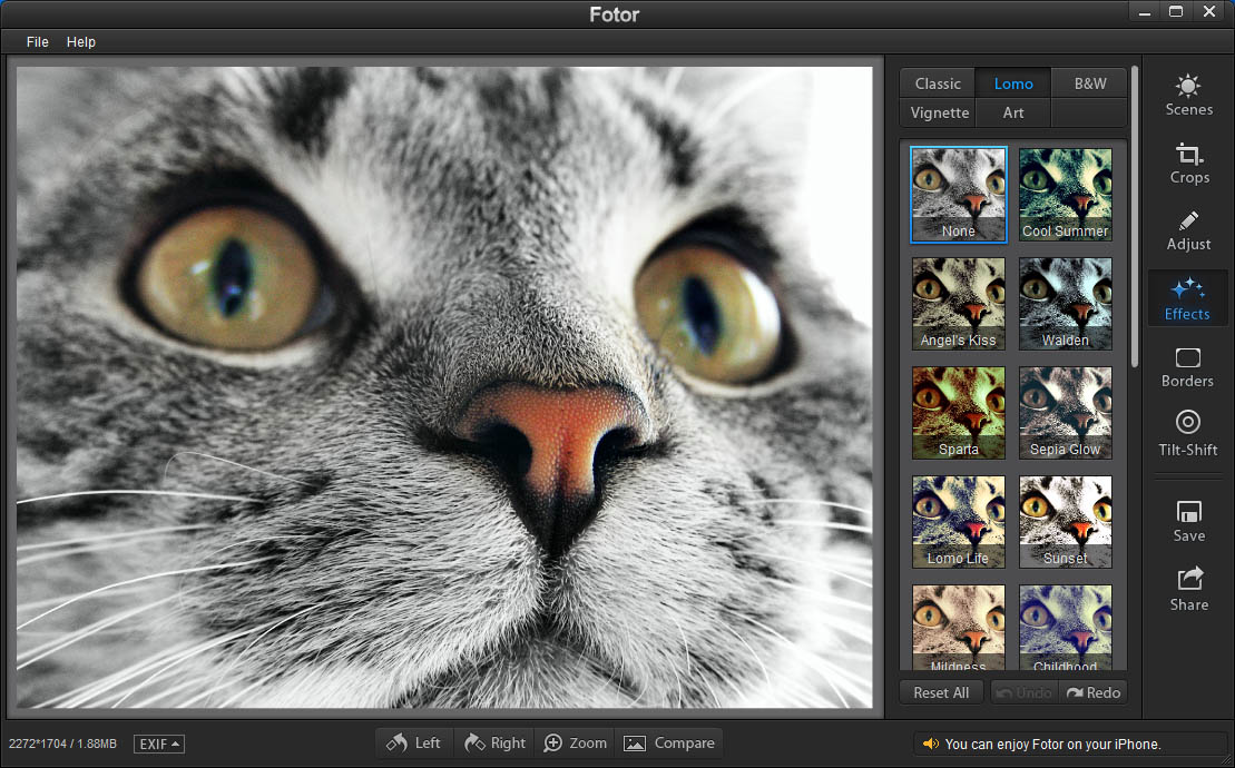 cat fotor photo editor app