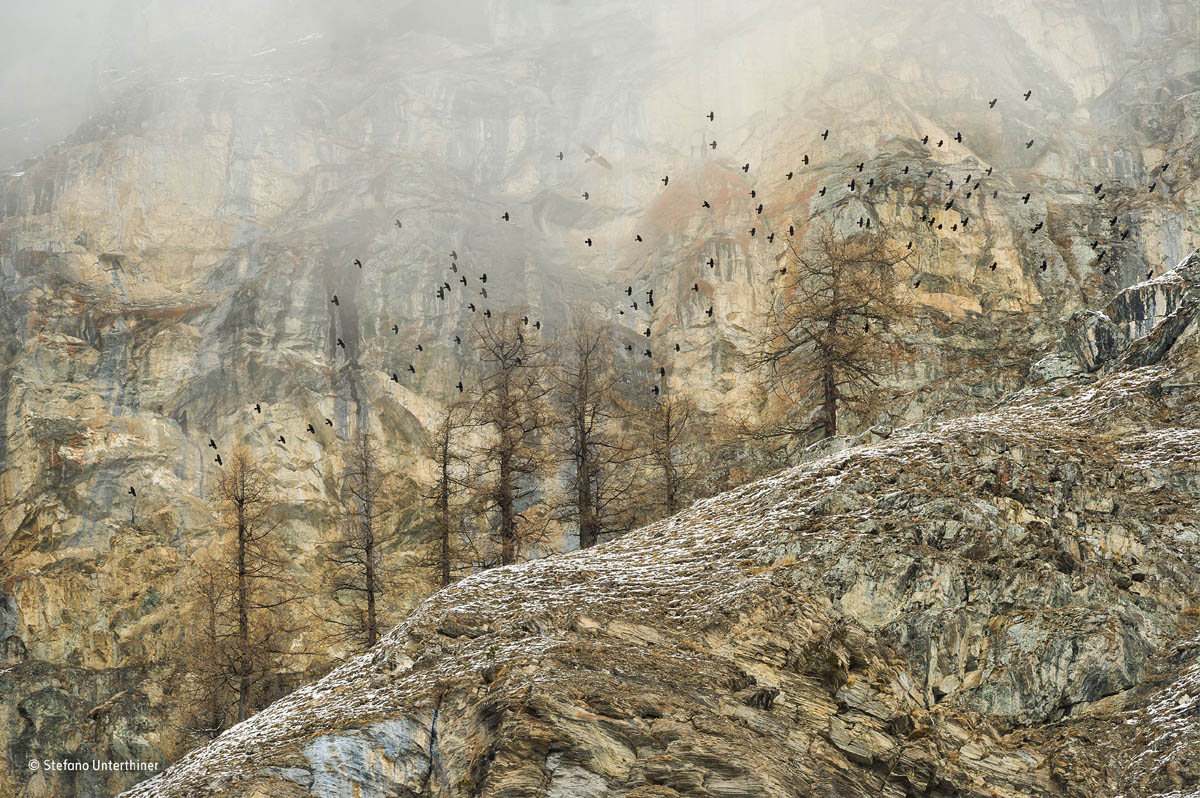 spirit mountains wildlife award winning photography stefano unterthiner