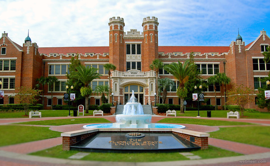 university florida