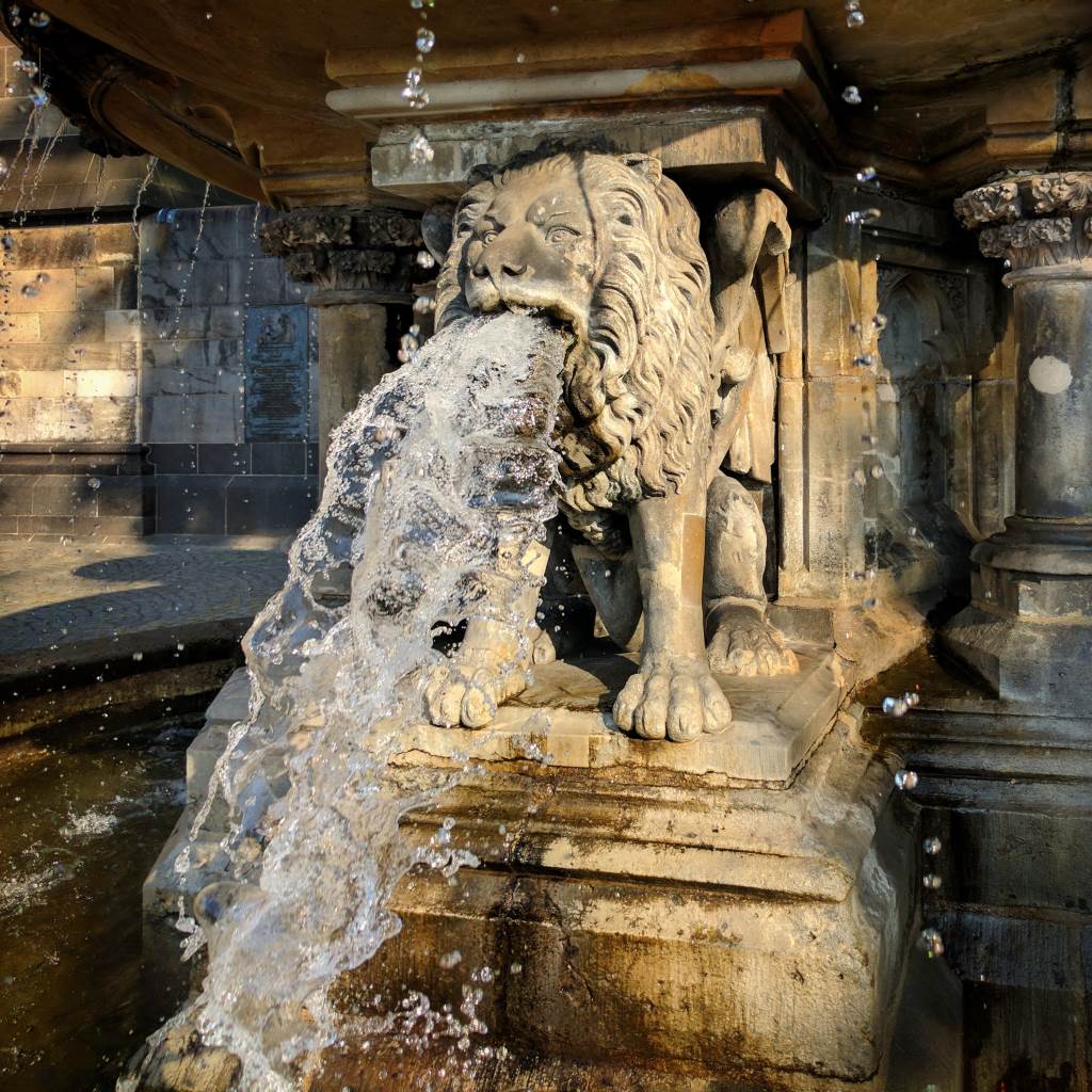 google pixel smartphone camera image