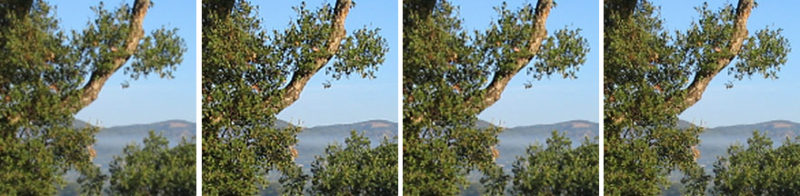 sharper scaling image