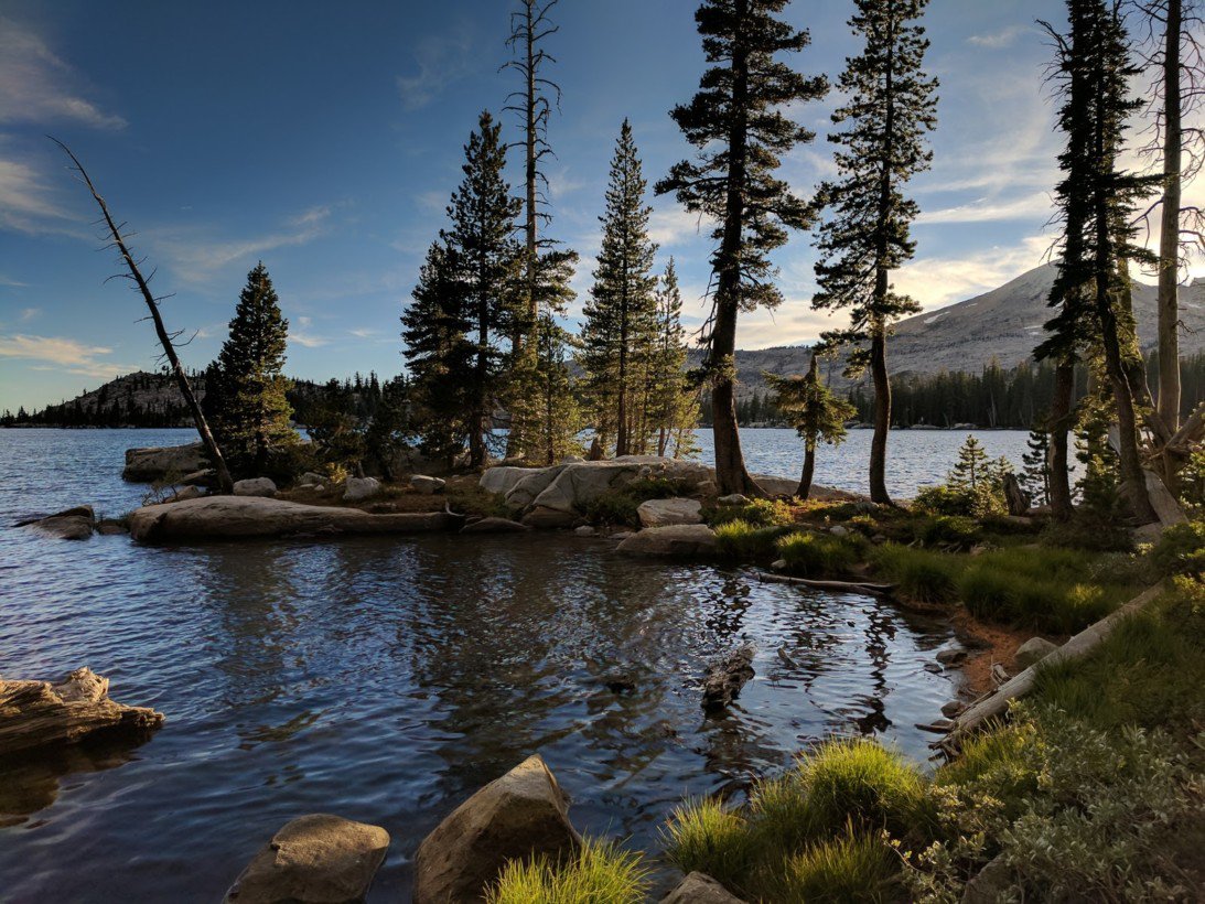 google pixel smartphone camera image