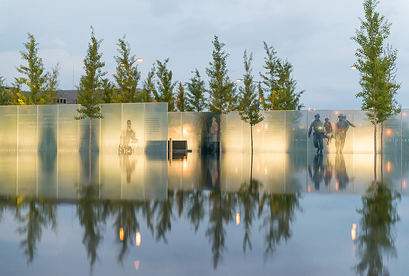 garden photographer contest amandakleinman