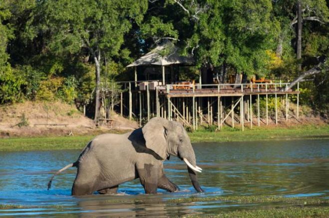 animal behaviour photo contest animal behaviour photo contest