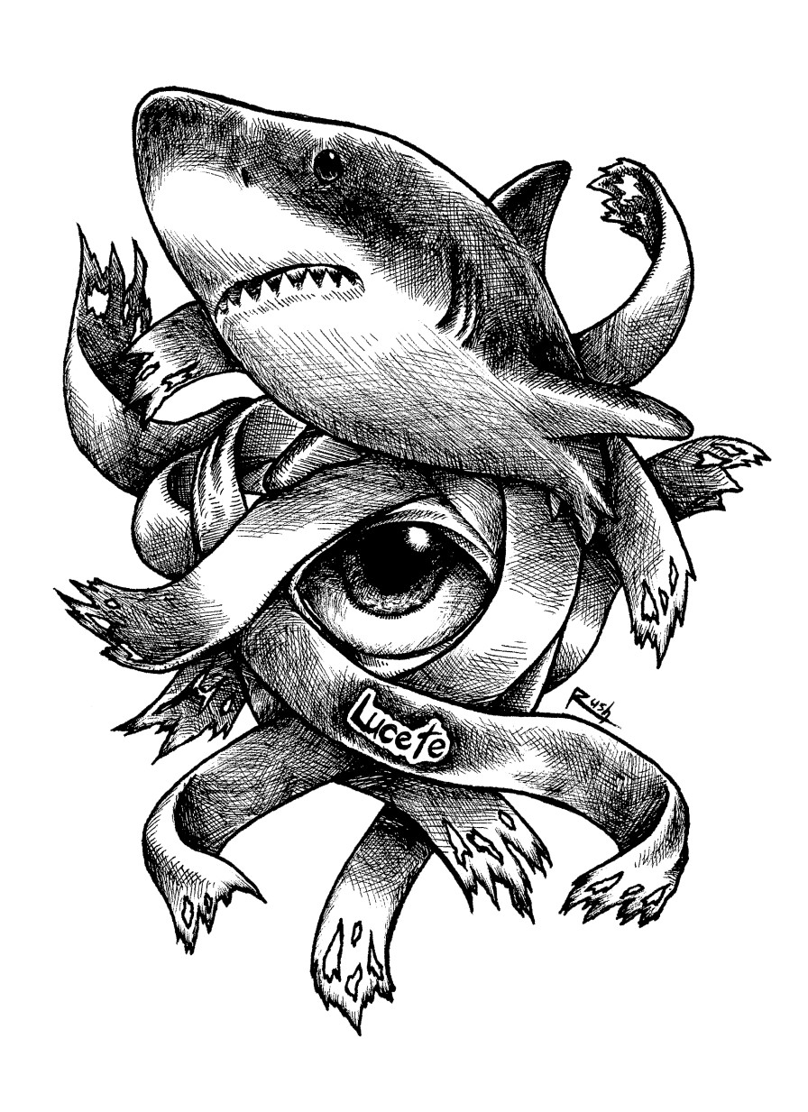 illustration lucete grafolio