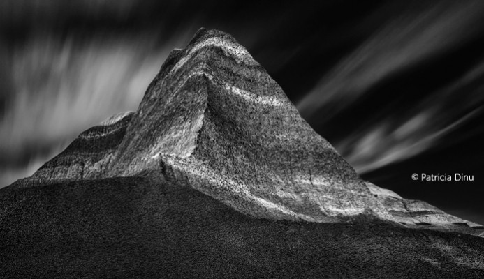 zebra awards bw patricia dinu