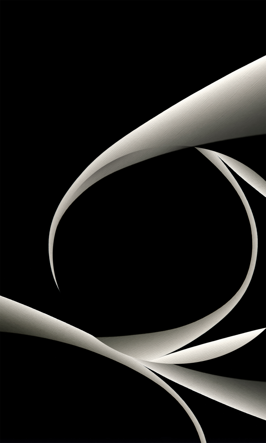 zebra awards monochrome