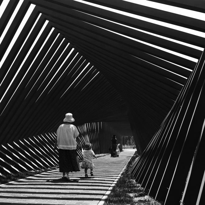 black white mpa photography