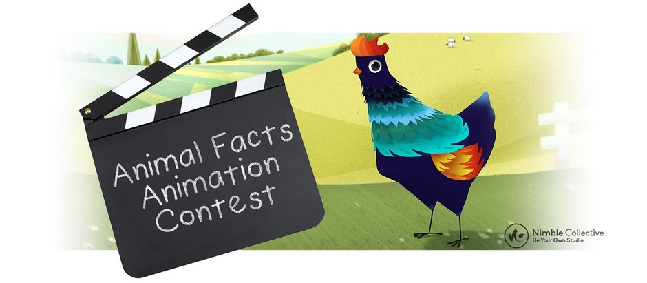 chicken nimble collective animation contest