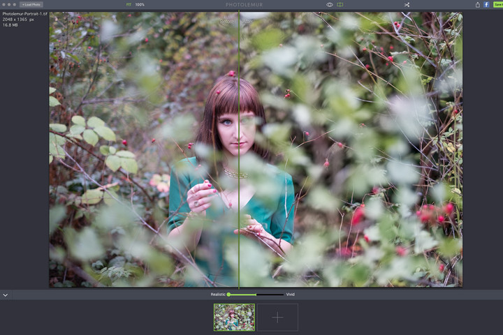 photo lemur editing app