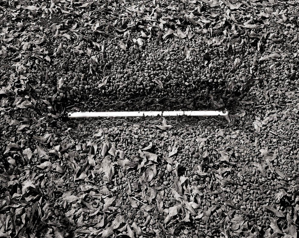 transit moon exposure award winning photography david shannon lier