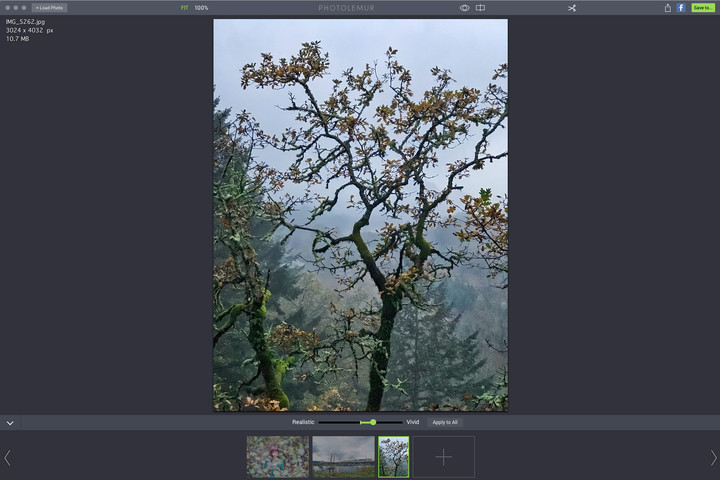 photo lemur editing app