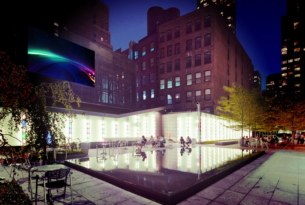 animal behaviour photo contest