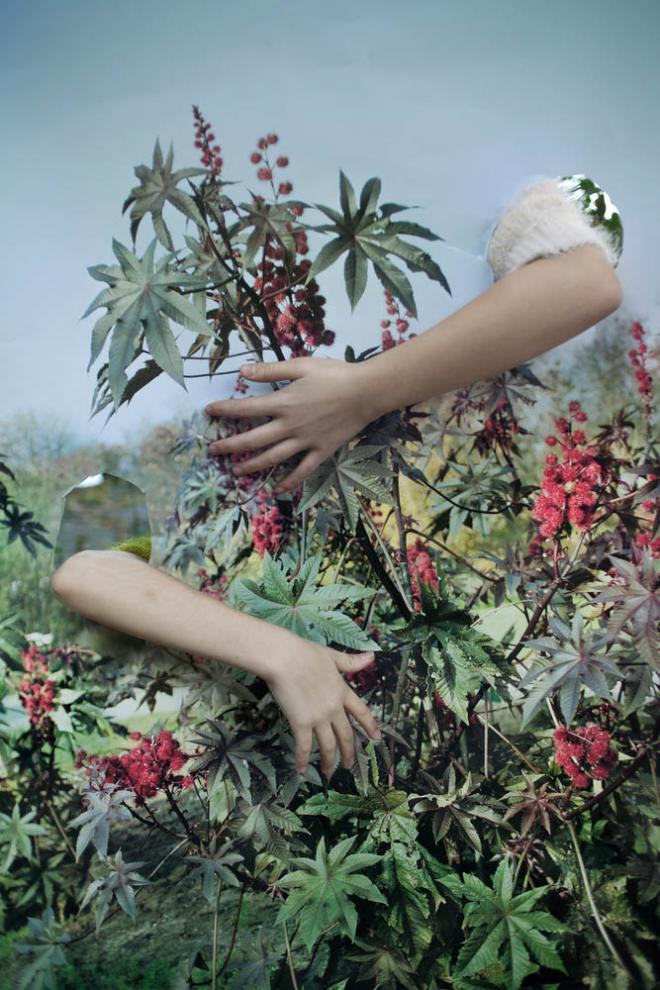 camouflage exposure award winning photography