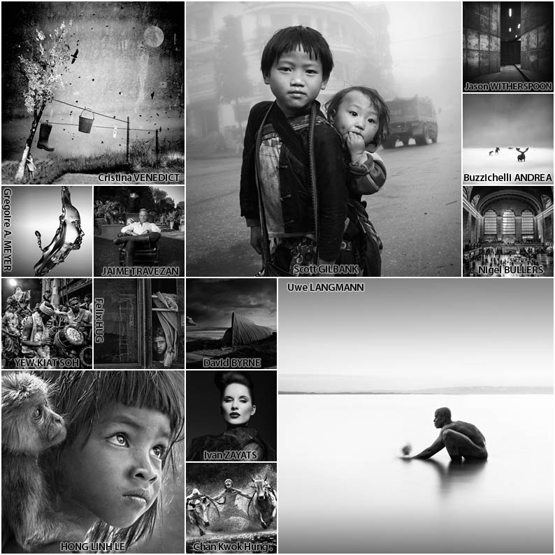 zebra award winners collage