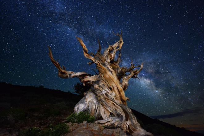 nikonian photography contest entry