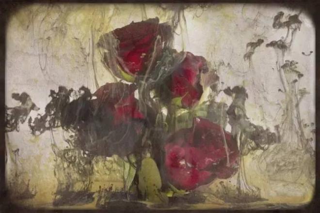 fine art photography awards