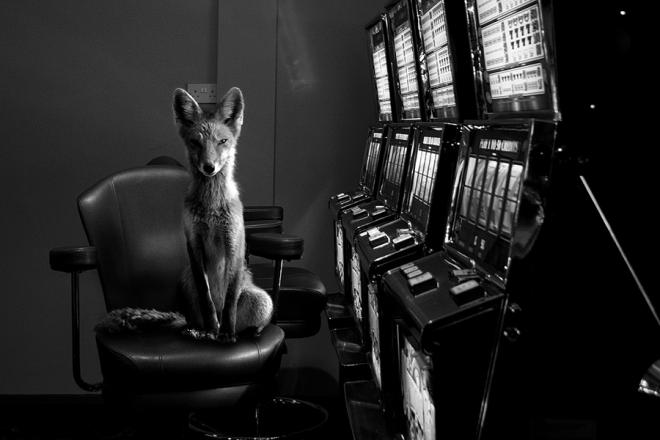 fine art photography awards