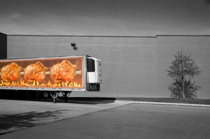 open portfolio photography terabellamedia