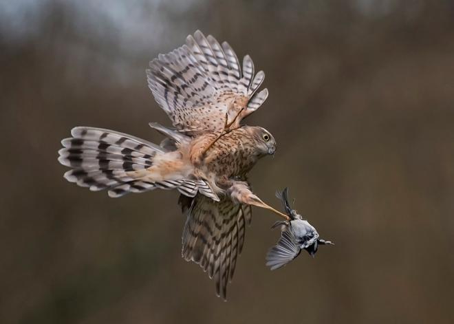 award winning image