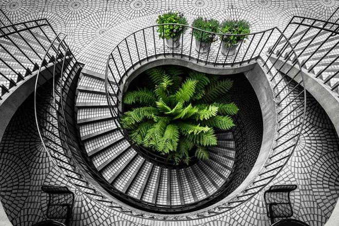 street photography competition proify