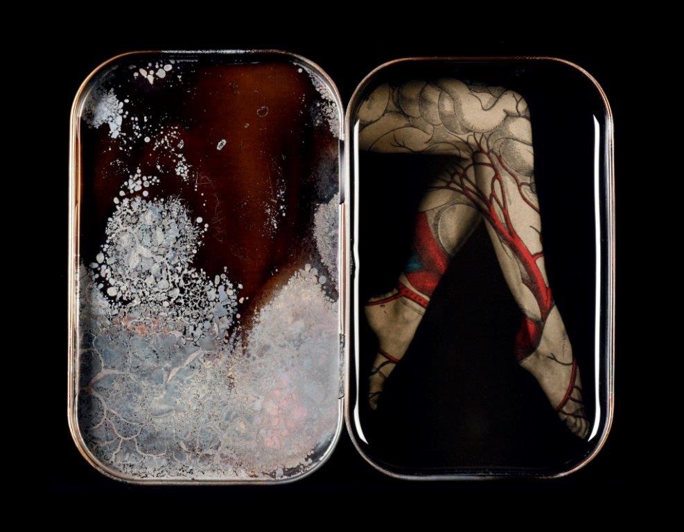 bloodline photography heidi kirkpatrick