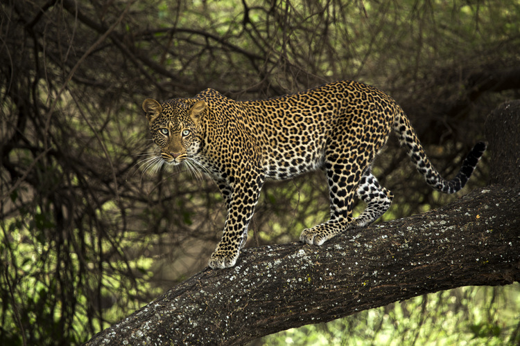 award winning images