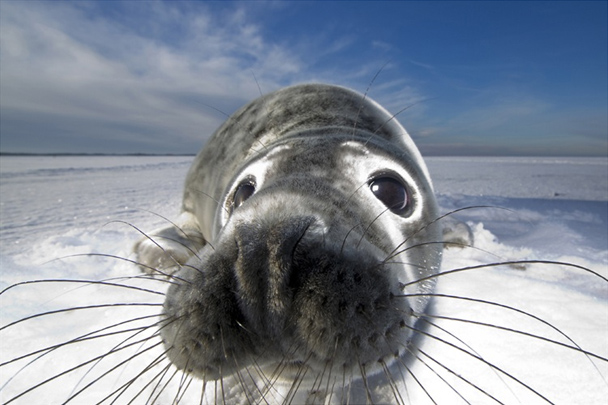 award winning image