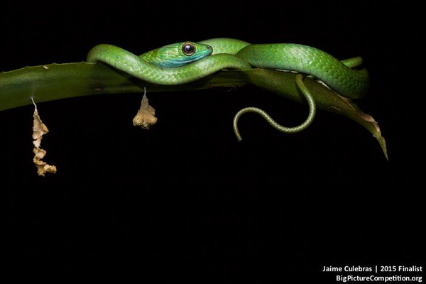 award winning images