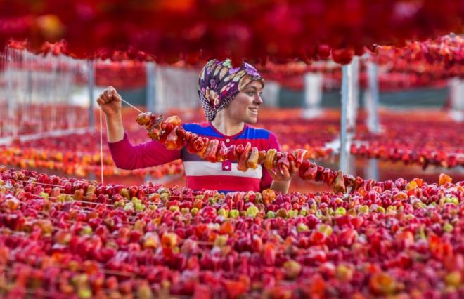 2-hipa-award-winning-photo
