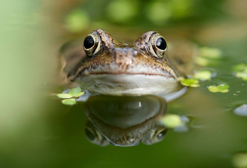 best nature photography festival