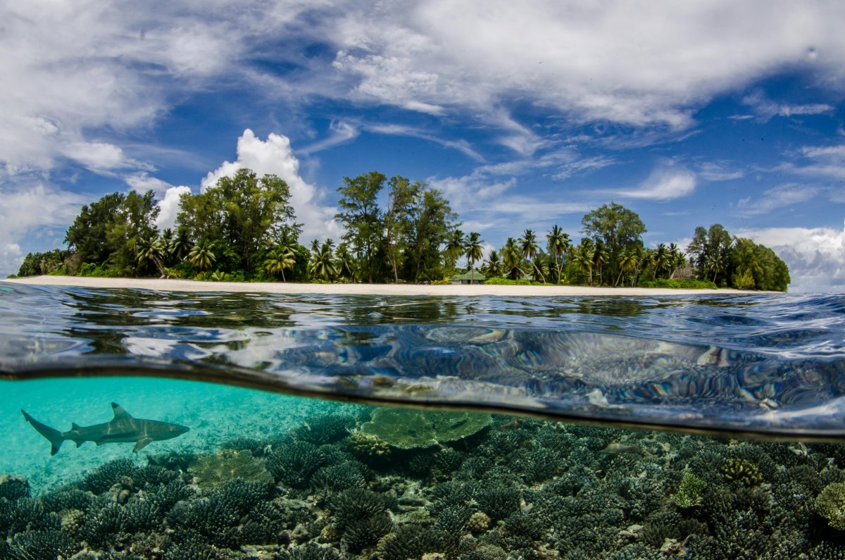 best sony photography awards byron dilkes