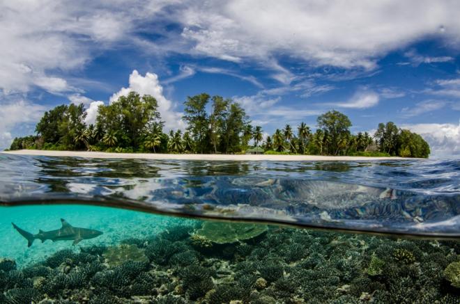 best sony photography awards