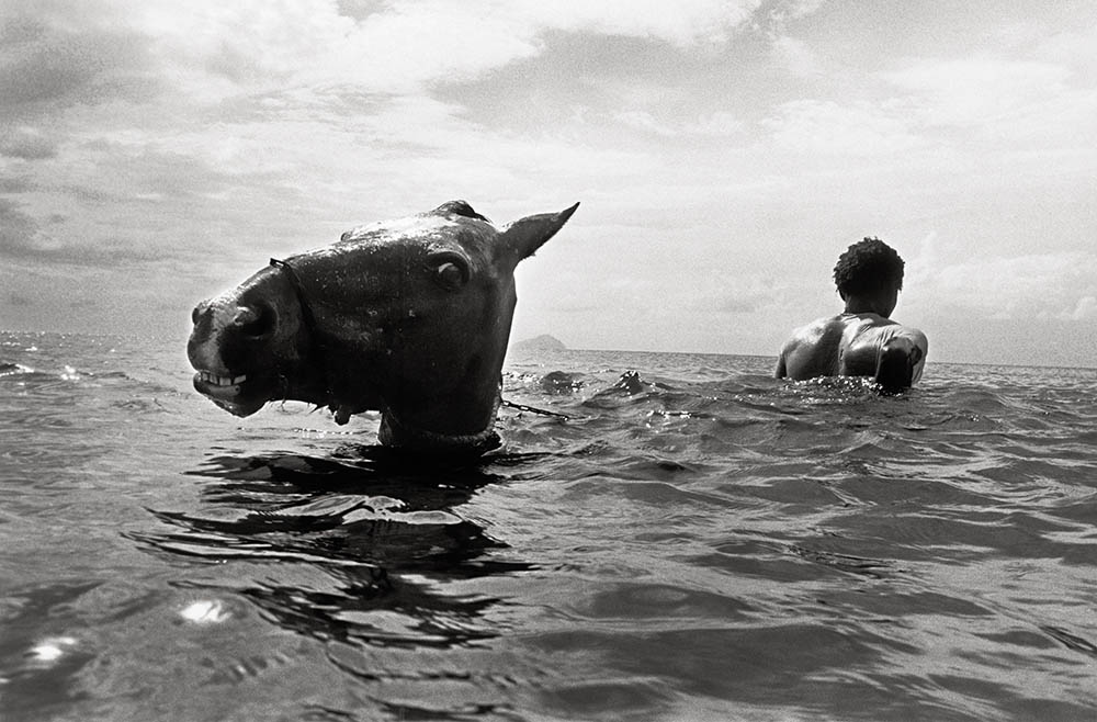 man horse photography andy summers photokina 2014