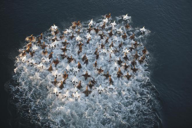 best bird photography