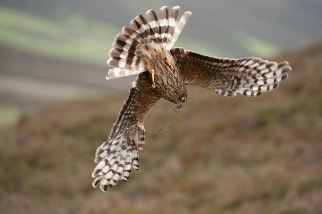 best nature photography festival