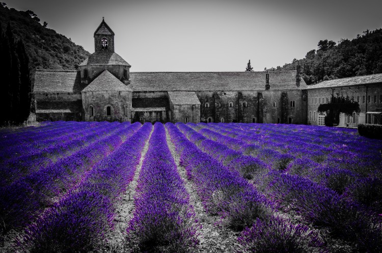 abbey photography ennio belometti