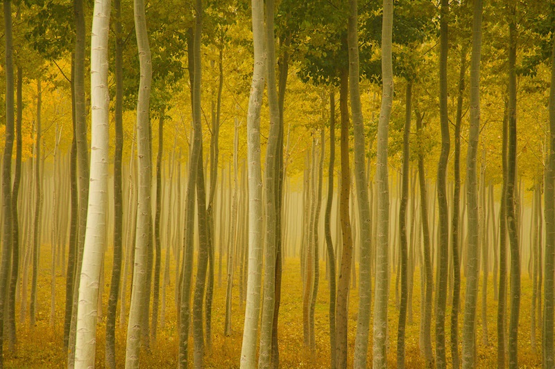 2015 award winning photography paul leatherbury