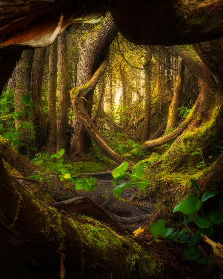 best nature photography festival