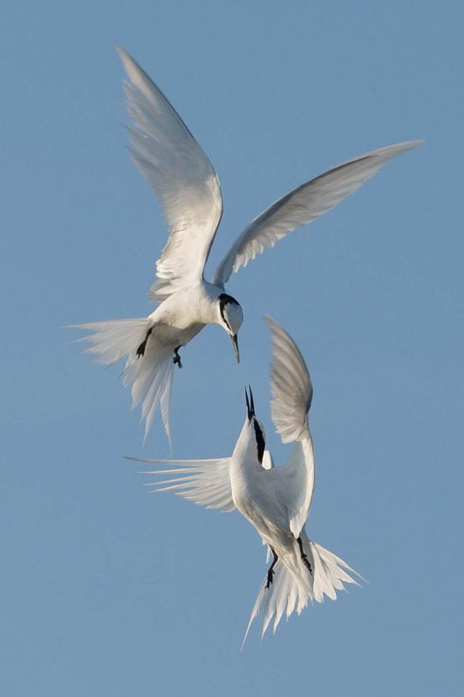 nature photography contest
