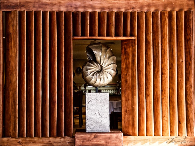 snail photography simone lavina