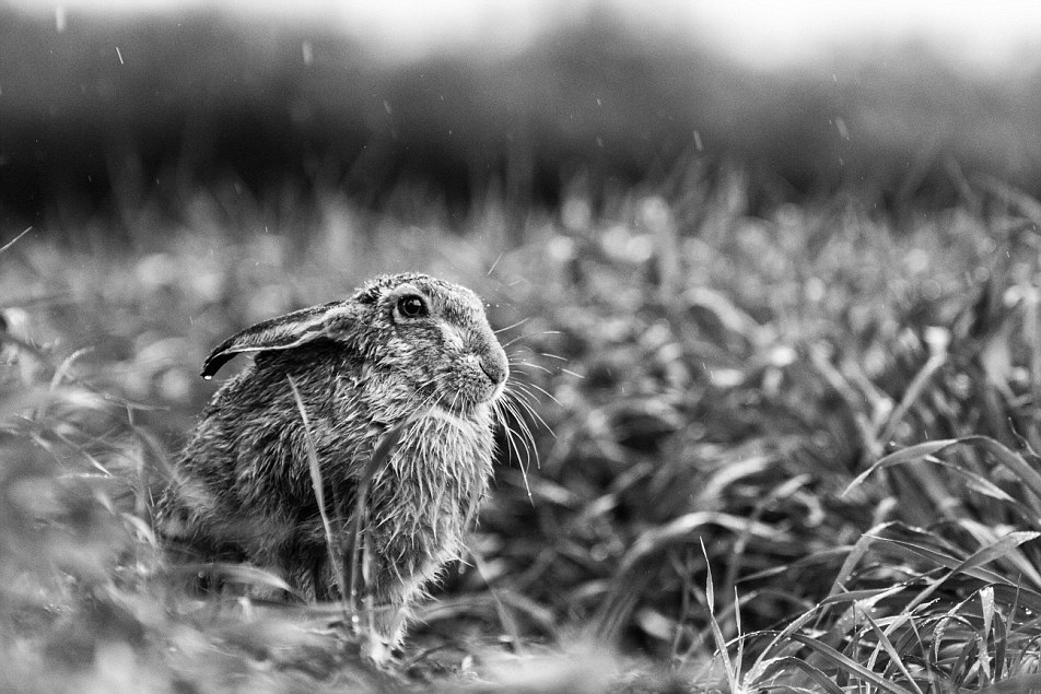 calumet photography competition